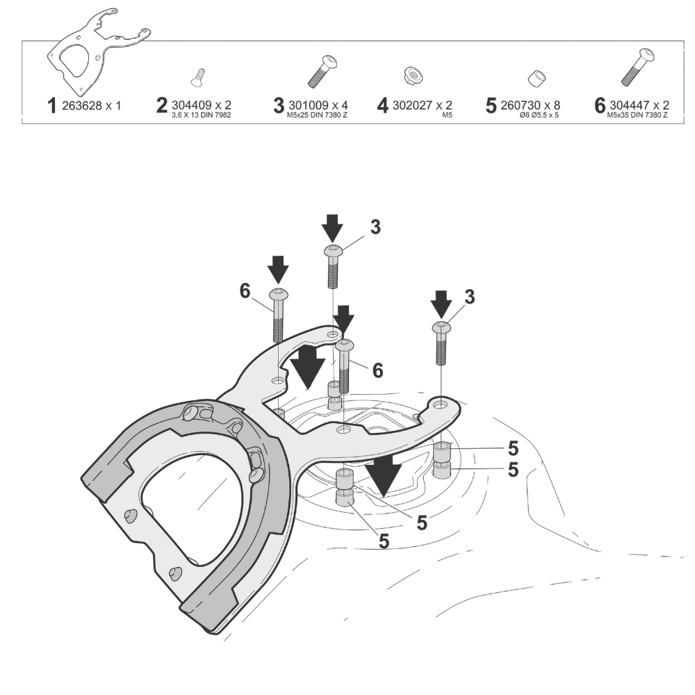 Shad Fijacion Click System (C012CS)