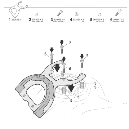 Shad Fijacion Click System (C012CS)