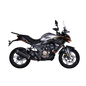Moto Voge 300DS