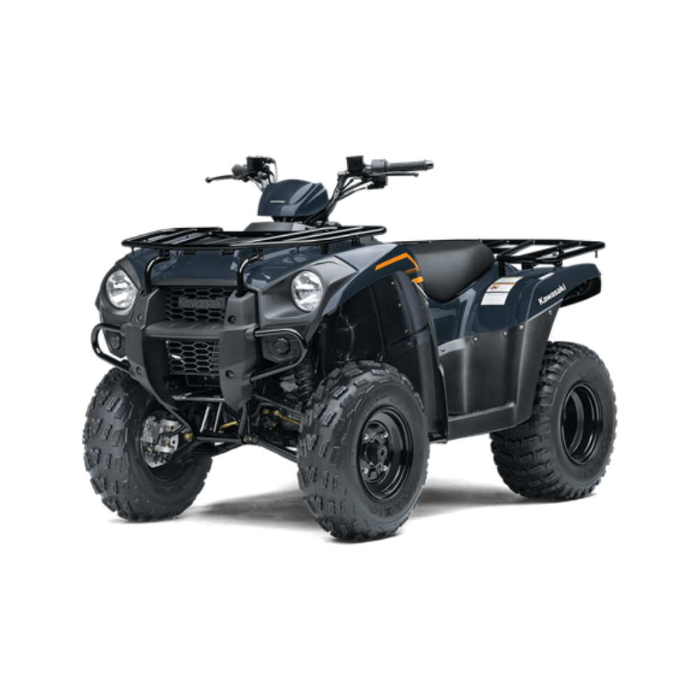 Moto Kawasaki Brute Force 300