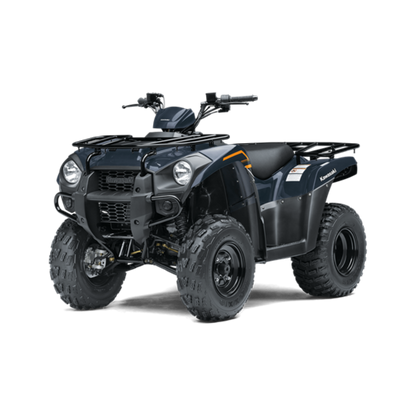 Moto Kawasaki Brute Force 300
