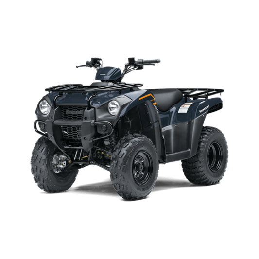 Moto Kawasaki Brute Force 300