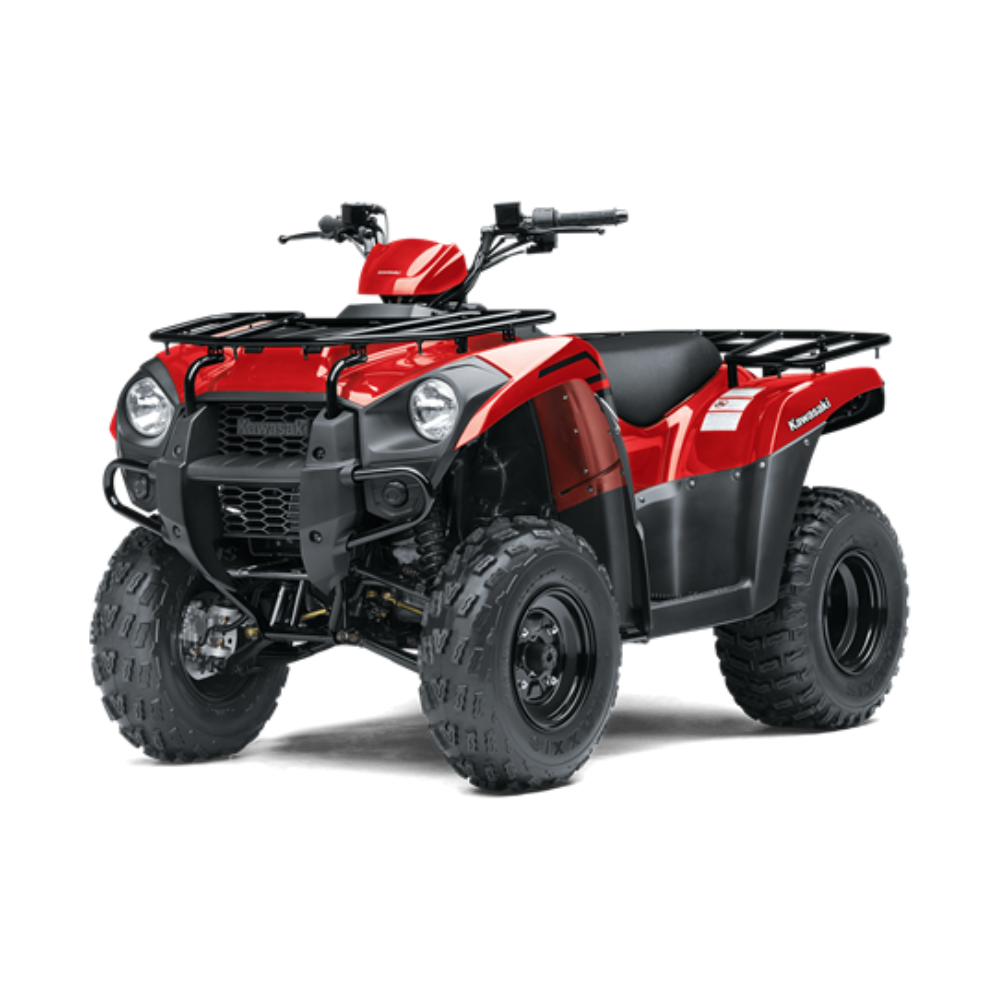 Moto Kawasaki Brute Force 300