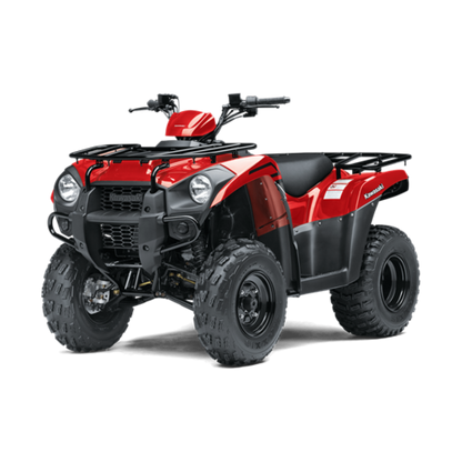 Moto Kawasaki Brute Force 300