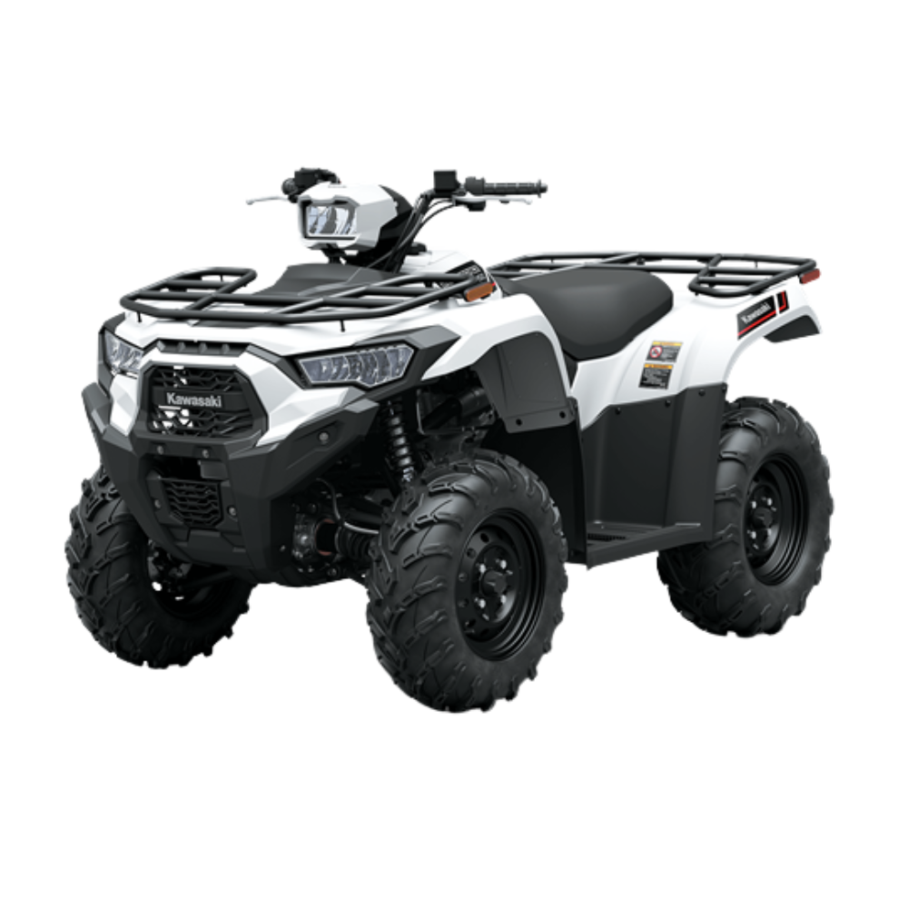 Moto Kawasaki Brute Force 450