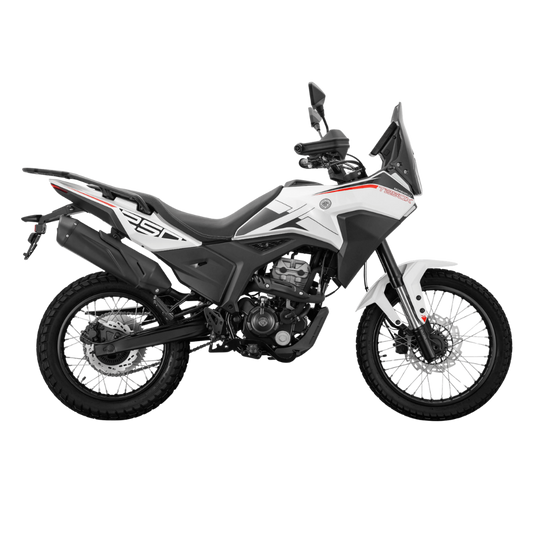 Moto Morbidelli T250X