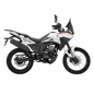 Moto Morbidelli T250X